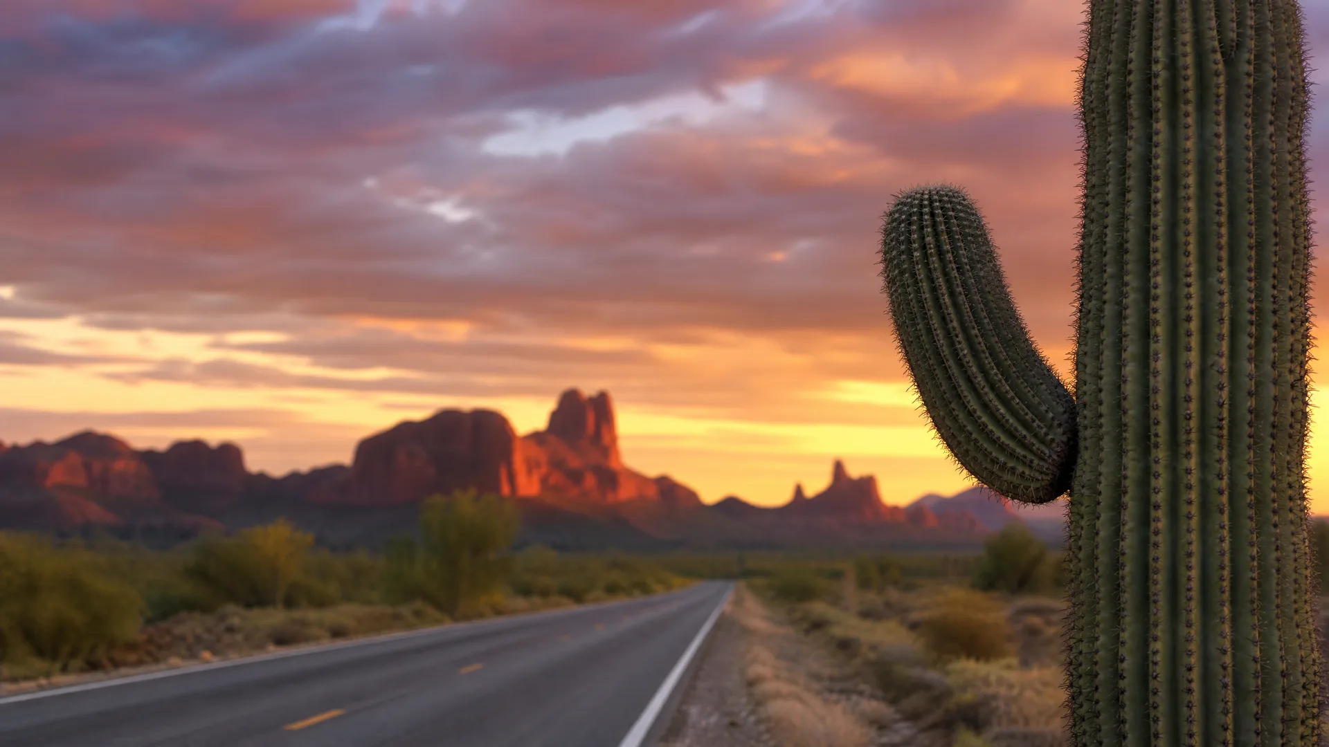 A two-lane road runs through desert scrub toward distant rock formations at sunset, with a large saguaro cactus in the right foreground.